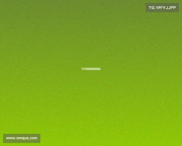 06老马六更换牌照灯作业 06老马六更换牌照灯作业