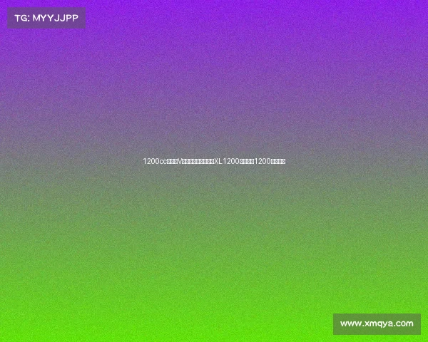 1200cc风冷大V双,外观一比一哈雷XL1200,鑫源骓1200新款上市 1200cc风冷大V双,外观一比一哈雷XL1200,鑫源骓1200新款上市